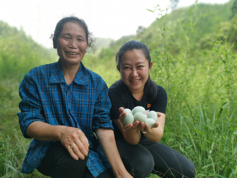 50元/个林下散养绿壳 _ 一亩田