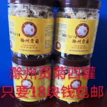 滁菊滁州贡菊白菊去火菊花茶