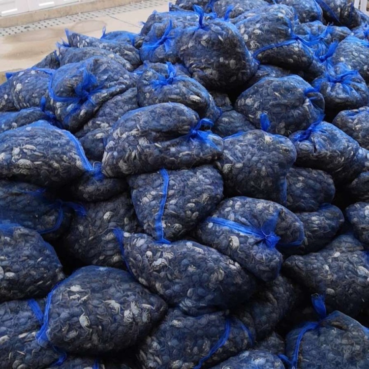 [蟹苗批发]盘锦优质扣蟹苗,大闸蟹苗,公母混货产地直销,成活率高价格