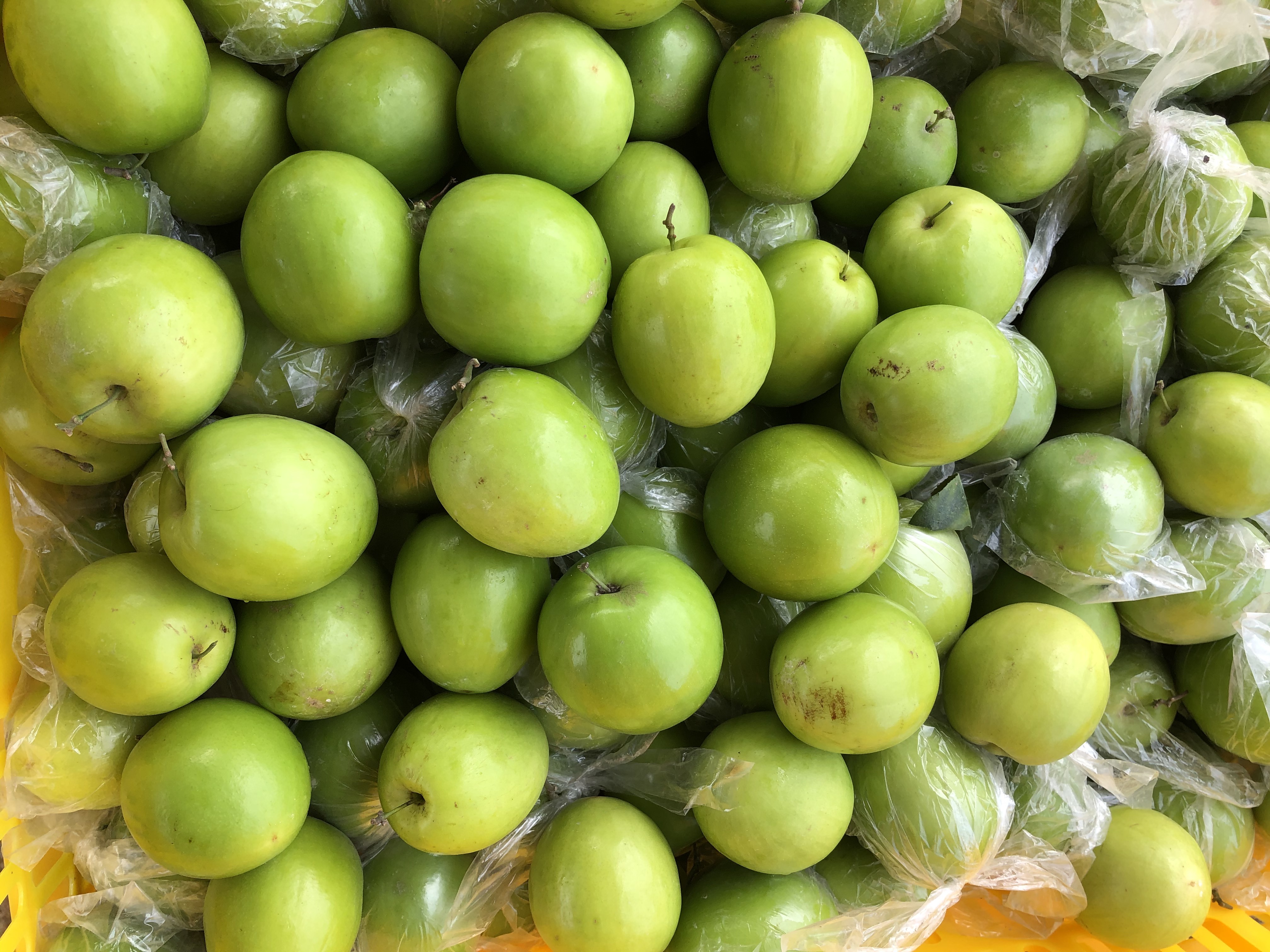 展示左侧为‘高朗一号’青枣,果实呈长卵形,表皮光滑翠绿,带有细微绒毛;右侧为‘红富士’苹果,果形端正,果面红黄相间,具有蜡质光泽。背景为各自典型种植环境:青枣为热带果园搭架栽培,苹果为温带梯田密植园 青枣与苹果典型品种对比图