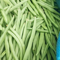 小金豆