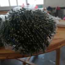 甘平枝条{芽条）现剪现发