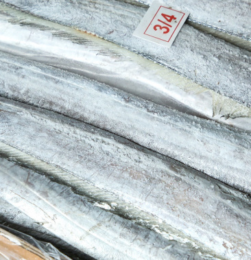 连云港本地优质带鱼 小黑眼带鱼