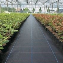 抗老化农用防草布黑色园艺除草布地布大棚果园透气保湿遮草布