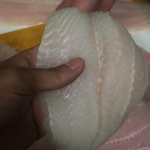 冷冻巴沙鱼柳全规格带皮鱼柳原料板冻