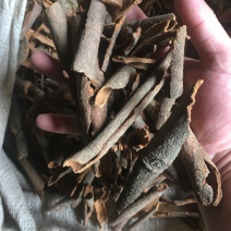 桂皮，桂碎，防城货