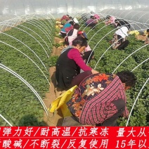 花卉育苗拱棚杆玻璃钢弹力棒保温防虫避雨小地拱支架骨架