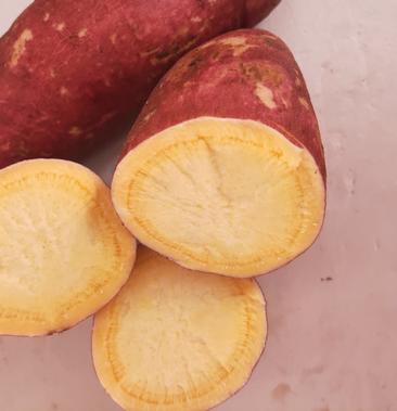 济薯26红薯2021年10月开售