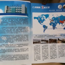 国际出菇认证，高产优质香菇出菇菌棒