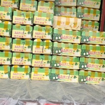 台州东方蜜今天上市了