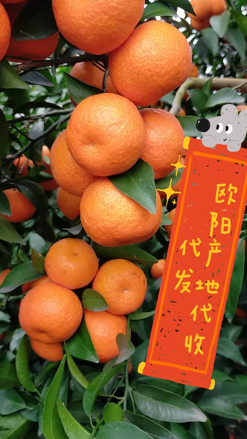 一亩田-轻松买卖农产品