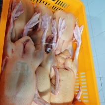白条鸭