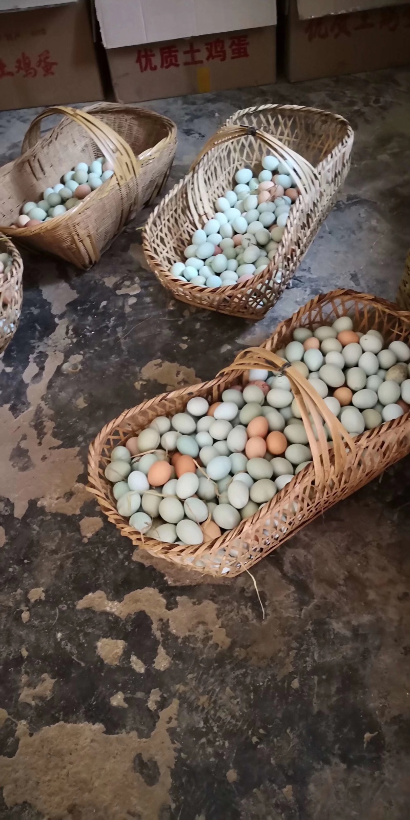[绿壳鸡蛋批发]贵州黔东南黎平县鸡蛋 1.