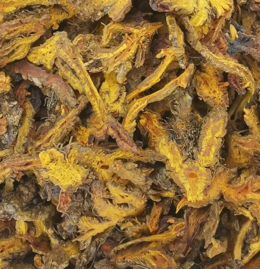 黄连鸡爪黄连实物拍摄批发各种中药材