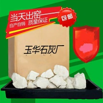 山东生石灰块池塘消毒刷树干燥剂石硫合剂波尔多液