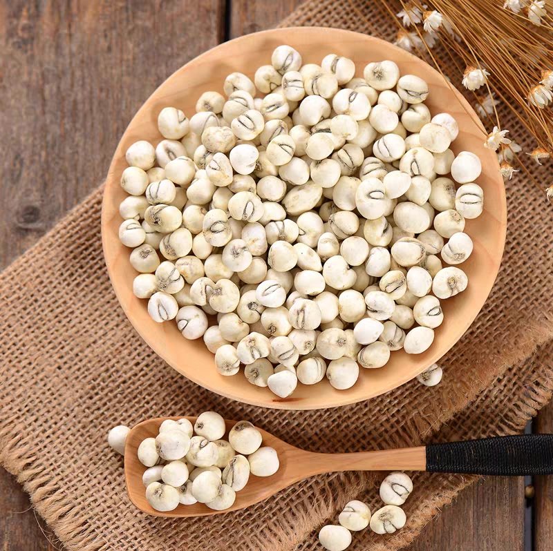 干燥的川贝母药材呈扁球形或圆锥形,表面黄白色至淡棕黄色,质地坚硬,断面白色粉性,气味微苦。旁边摆放研磨工具,显示从整颗药材到粉末的加工流程 川贝母药材与加工过程