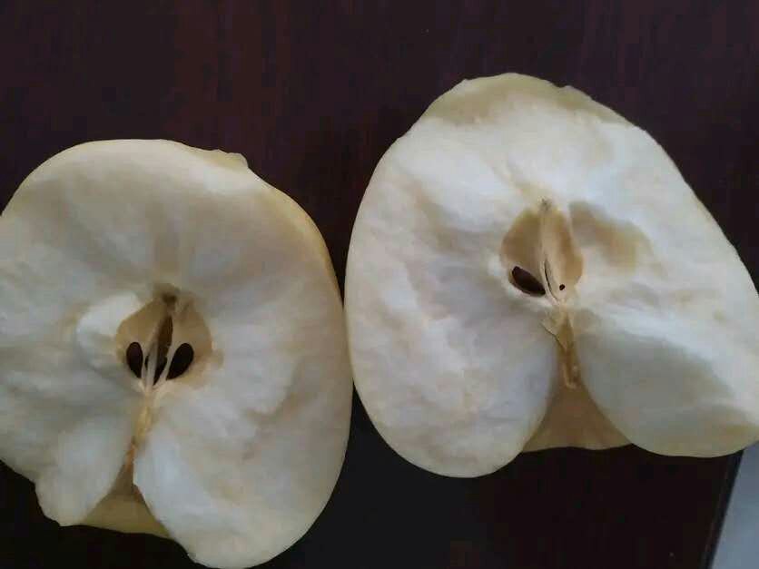 黄元帅苹果横切结构与健康食用场景融合图,兼顾科学性(果肉纹理/汁液状态)与消费引导性(生活方式呈现) 黄元帅苹果切面与食用场景图:左侧为新鲜横切面特写(果肉乳白微黄、质地致密无空腔、汁液丰盈欲滴);右侧为生活化摆盘——金黄苹果片搭配肉桂棒、蜂蜜罐与燕麦酸奶杯,自然光窗边拍摄,突出食材本真质感与暖秋氛围