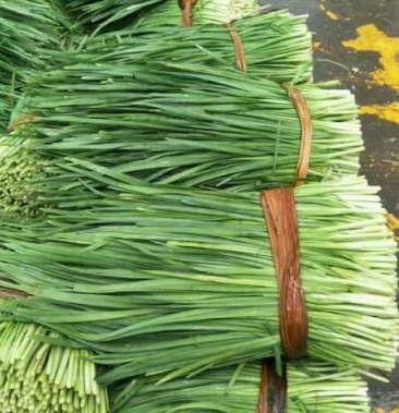 韭菜,精品韭菜,现已大量上市中,大量长期供货,欢迎订购