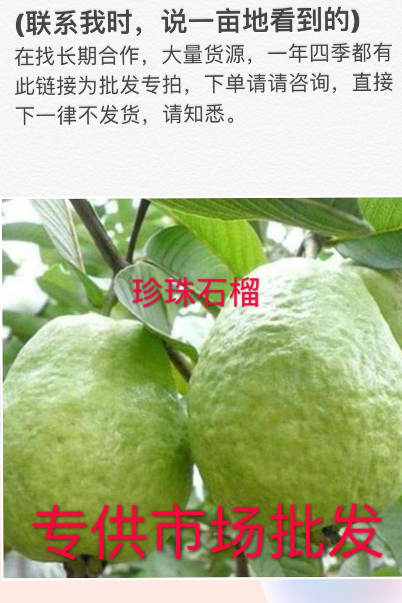 石榴行情涨跌价格(元/斤)品种产地全国番石榴价格行情参考2元/斤珍珠
