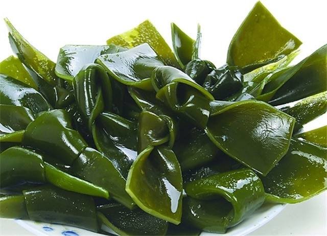 海带与裙带菜的外形对比图