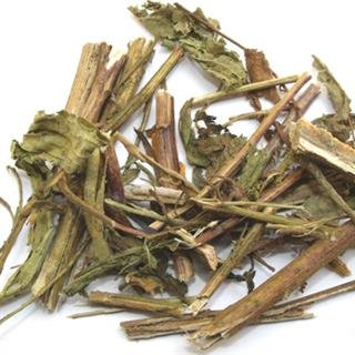 [臭灵丹草批发]臭灵丹草,常年批发冷背药材中药材臭灵丹草量大从优