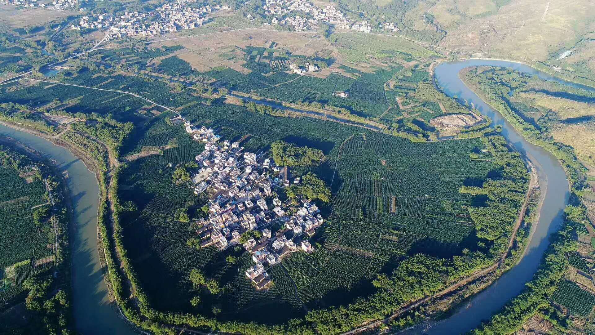 铁棍山药传统垆土种植田实景