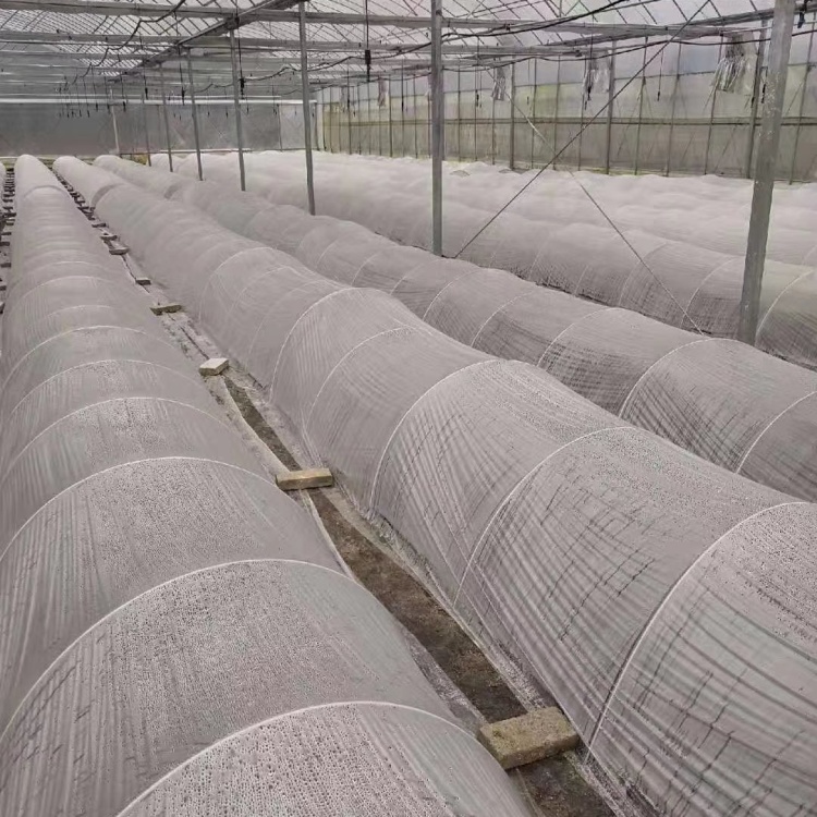 [弓子批发]小拱棚杆防晒棚玻璃纤维棒直径防晒架56毫米弓子支撑杆弓片