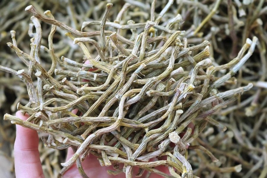 图片说明:左侧为切片红参,表面棕红色,质地坚硬,断面有明显放射状纹理;右侧为干燥铁皮石斛干条,呈螺旋状卷曲,表面灰绿色至深绿色,带有细纵纹,质地脆而易折 红参与石斛干品对比图