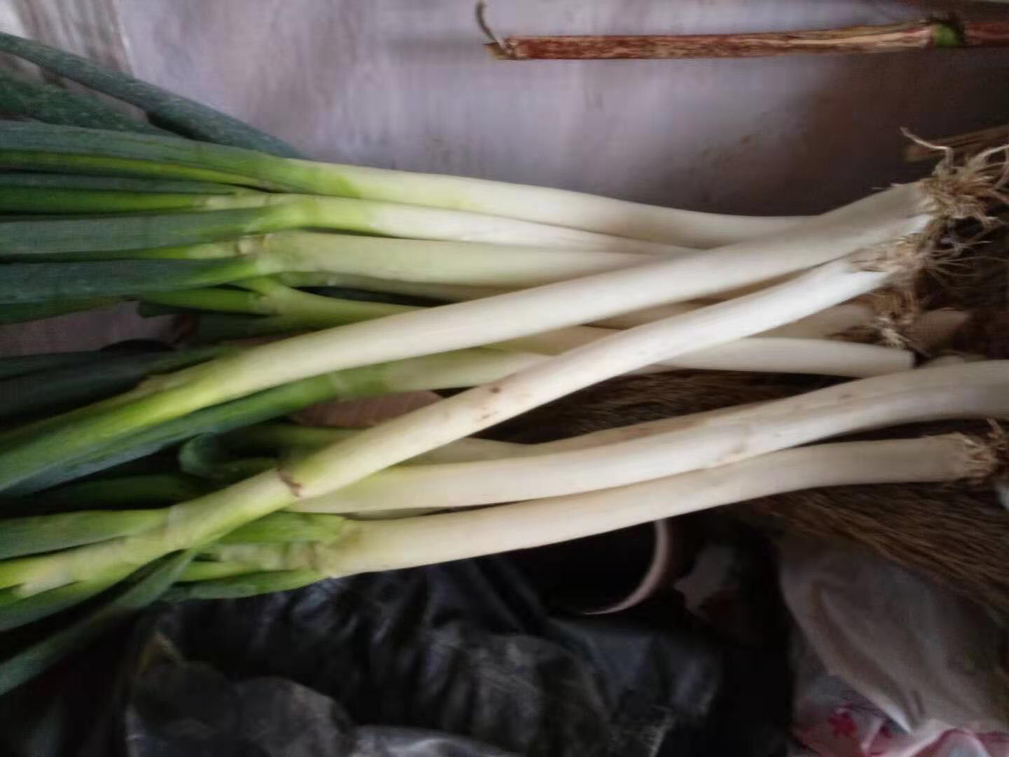 大葱的横切面与整根新鲜大葱并列展示，背景为厨房台面，旁边有测量热量的食品秤和营养标签示意图