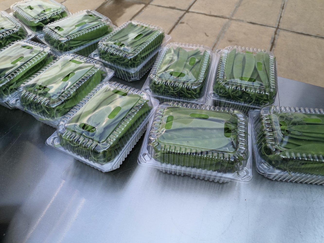 冷藏中的荷兰豆