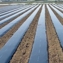 农用除草黑地膜10公斤