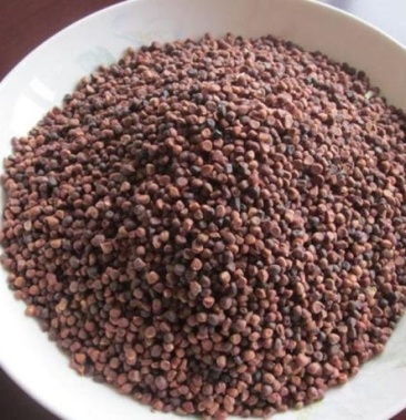 马蔺子 马兰子正品保证质量无理由退货退款 丽丽药业