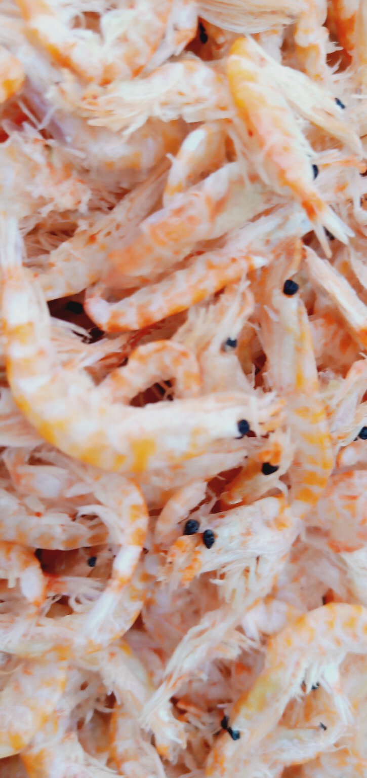 [南极磷虾批发]南极磷虾,深海磷虾,补钙神器一件也是批发价(批发价不