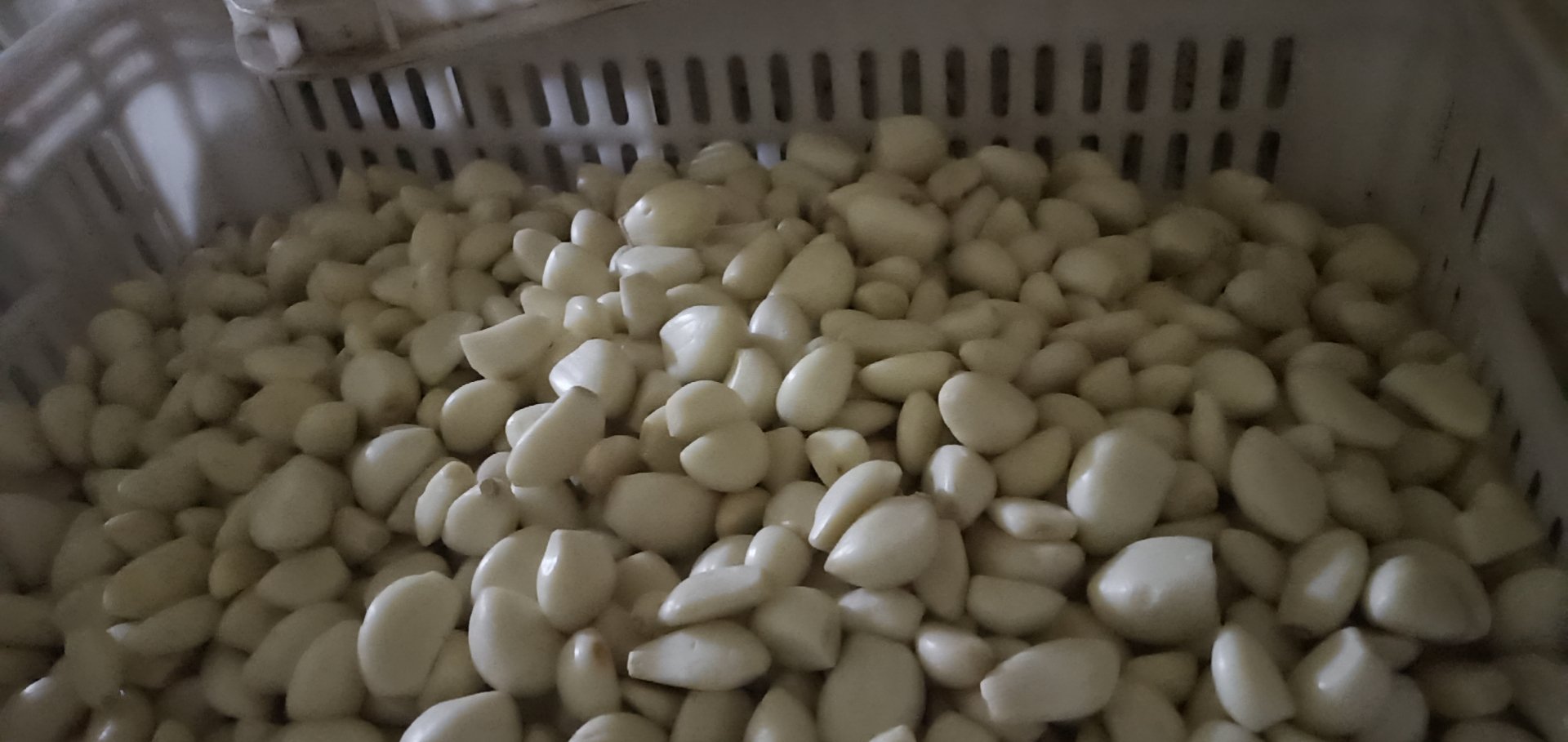 蒜米植物油浸渍安全操作特写