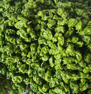 [薄皮椒批发]麻辣椒价格6.00元/斤 - 一亩田