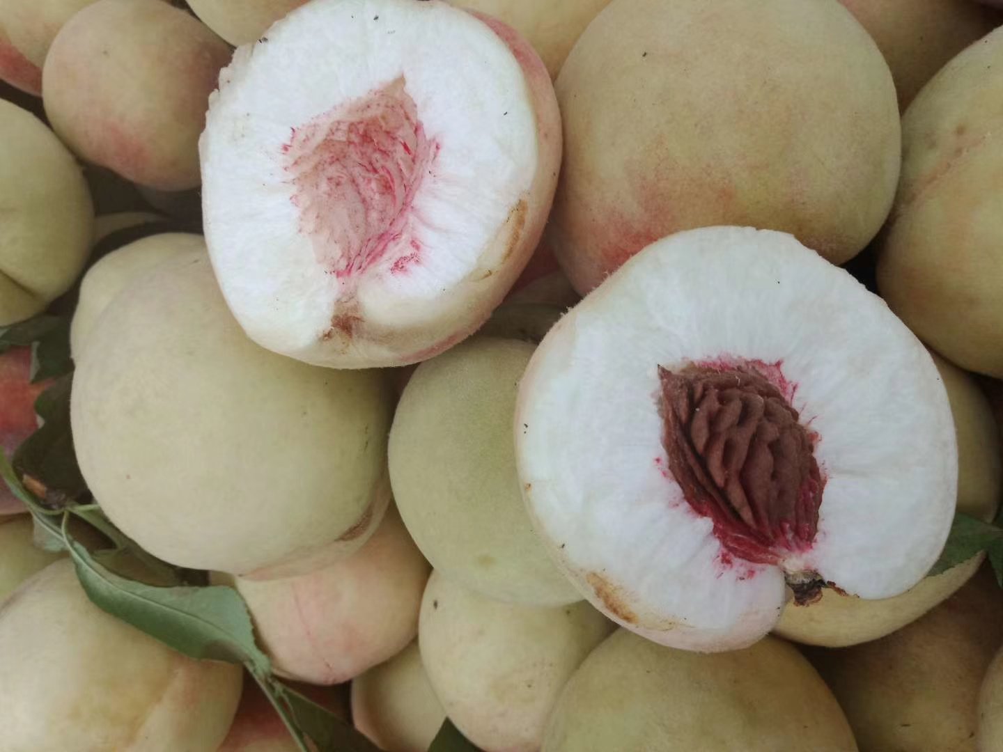 红不软桃切开展示果肉