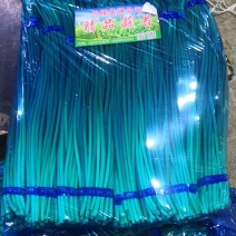 【优品】出售优质苍山蒜苔射阳蒜苔品质保证量大从优