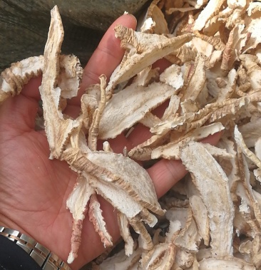 产地直供山海螺羊乳大中小片线上保障交易颜色白质量优