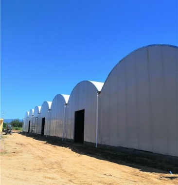 食用菌大棚,蘑菇大棚建设,厂家质保!推荐!