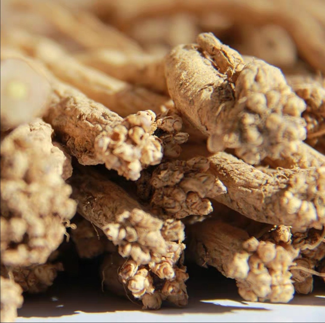 两张中药饮片特写并列展示:左侧为人参薄切片,呈淡黄色,表面有细密纹理和环状横纹;右侧为党参厚切片,呈黄白色至淡棕色,断面放射状结构清晰可见,标注‘潞党参’字样,背景为白色亚麻布 优质党参与人参对比图