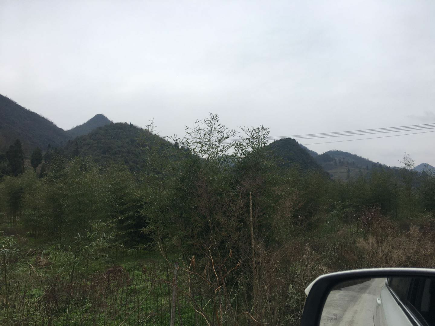 水尾镇雷竹林航拍全景