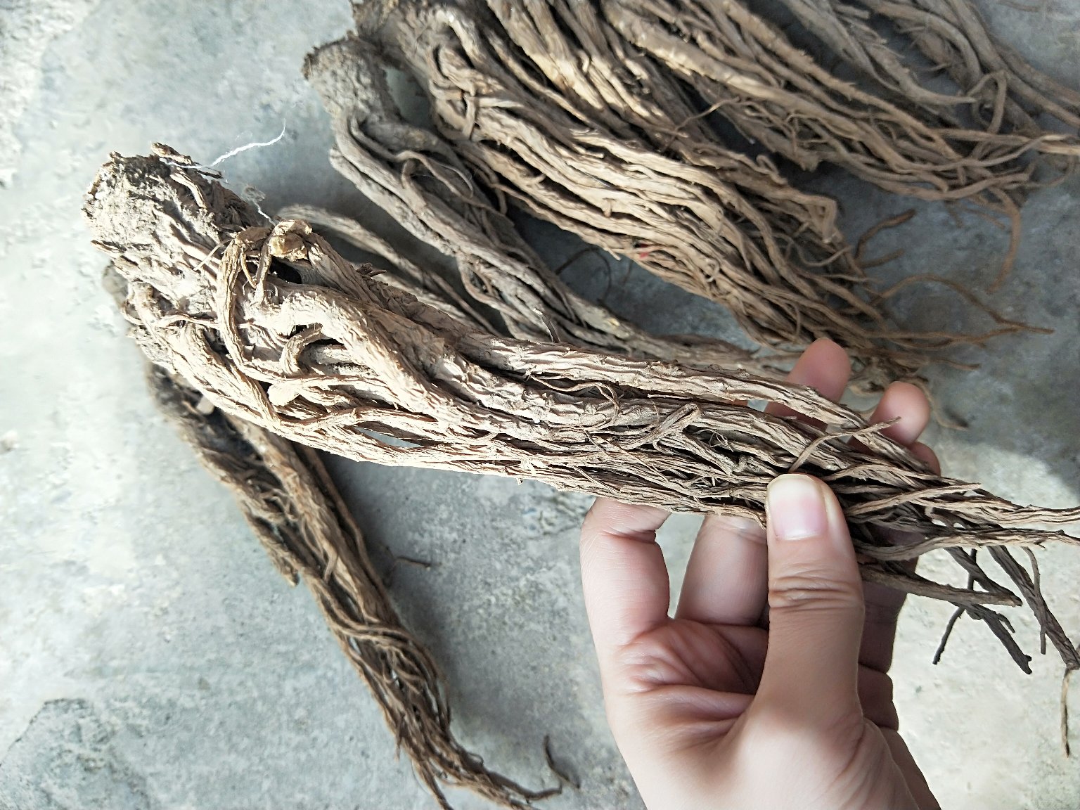 增强免疫力的食疗搭配