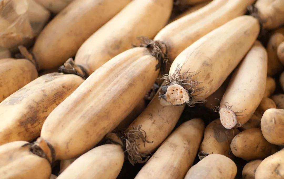 莲藕的农产品属性与营养价值