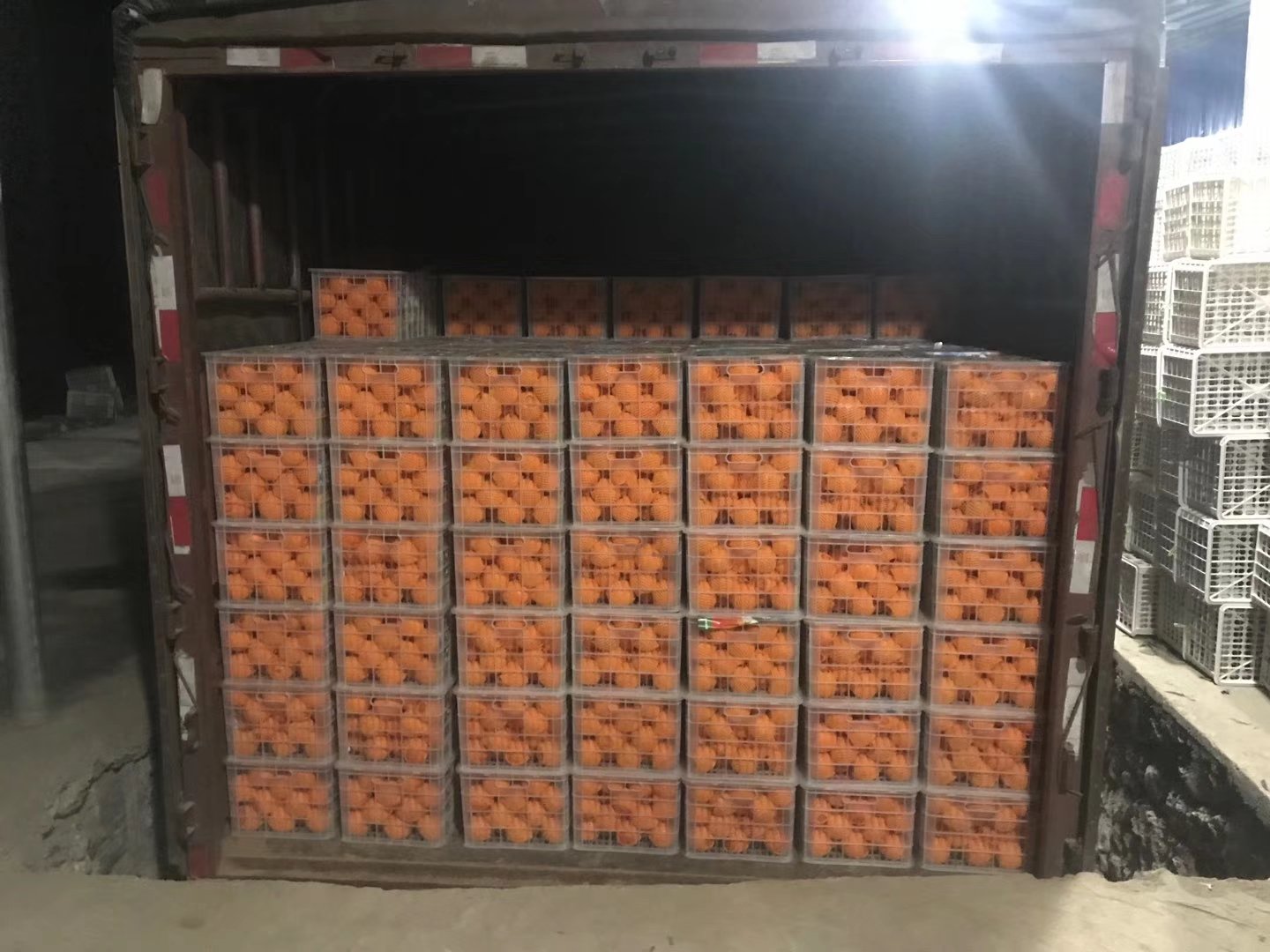 赣州国际陆港内,工作人员正在将印有‘GANNAN NAVEL ORANGE’字样的纸箱搬运上冷藏集装箱卡车,箱子堆叠整齐,旁边有海关检验人员在核对单据,车辆准备驶向边境口岸 赣南脐橙出口装运现场