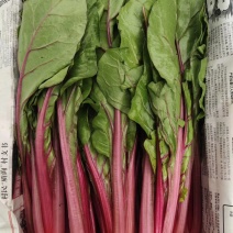 野菜，西菜专卖