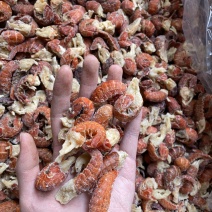 龙虾尾