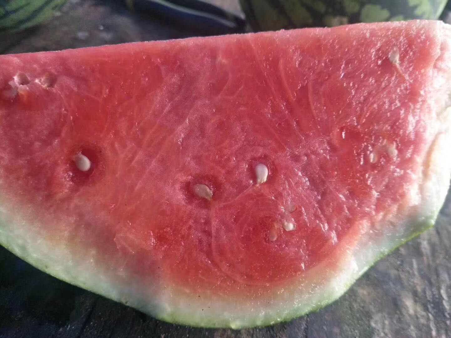 无籽西瓜切面特写