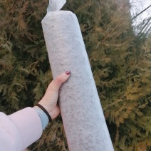 香菇菌棒出售