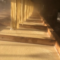 清远英德九龙山水手工腐竹