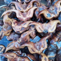 ***菱角一手货源价格美丽